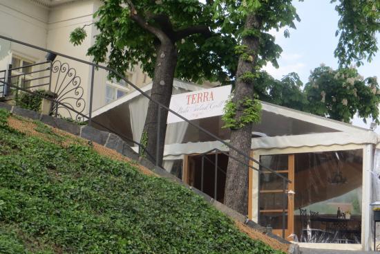 Terra